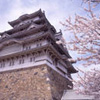 Japanese Spring