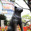 Tokyo Landmarks
