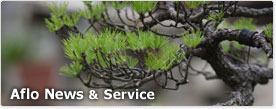 News Banner