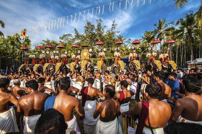Hindu temple festival with many elephants, Thrissur, Kerala, South India, India, Asia, Photo by Tommy Seiter