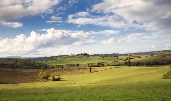 Tuscany, Italy Country meadows near Vagliagli. Vagliagli, Castelnuovo Berardenga, Chianti, Siena province, Tuscany, Italy, Europe Photo by Francesco Bergamaschi