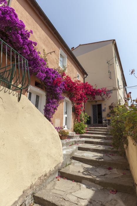 Tuscany, Italy Flowers in the old alley, Porto Azzurro, Elba Island, Livorno Province, Tuscany, Italy Photo by Roberto Moiola