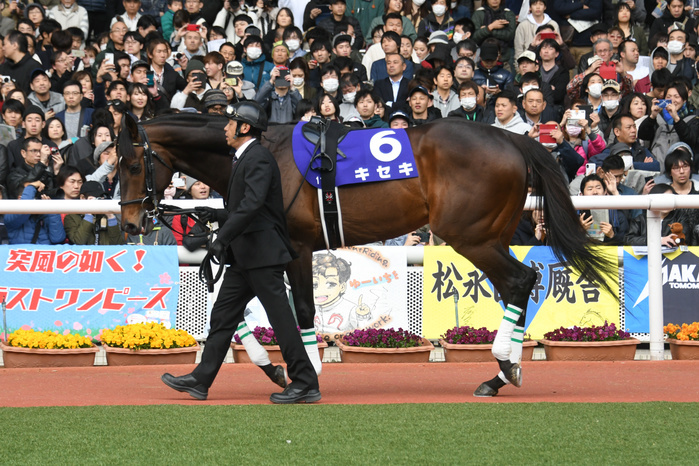 2019 Osaka Cup  G1  Kiseki Kiseki, MARCH 31, 2019   Horse Racing : Kiseki is led through the paddock before the Osaka Hai at the Hanshin Racecourse in Hyogo, Japan. Photo by Eiichi Yamane AFLO 