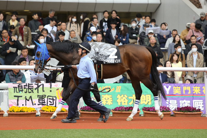 2019 Azalea Award Healing Mind, MARCH 30, 2019   Horse Racing : Healing Mind is led through the paddock before the Hanshin 9R Azalea Sho at Hanshin Racecourse in Hyogo, Japan.  Photo by Eiichi Yamane AFLO 