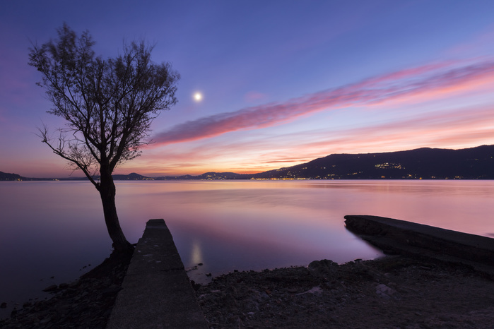 Lombardy, Italy A lonely tree at the Arolo pier during an autumnal sunset, Arolo, Leggiuno, Lake Maggiore, Varese Province, Lombardy, Italy. Photo by Mirko Costantini