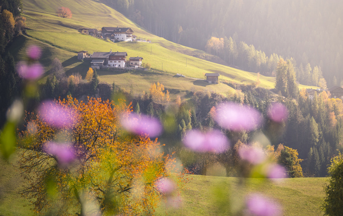 Trentino Alto Adige, Italy Funes Valley, Bolzano Province, Trentino Alto Adige, Italy Photo by Stefano Termanini