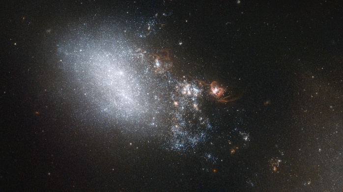 Irregular galaxy NGC 4485, HST image Irregular galaxy NGC 4485, Hubble Space Telescope  HST  image. This galaxy is irregular in shape, caused by an interaction with a nearby galaxy. Part of NGC 4485 has been dragged towards a second galaxy  NGC 4490  which is out of frame towards bottom right. Between them, these two galaxies make up a galaxy pair called Arp 269, and have turned from spiral galaxies into irregular ones. When galaxies interact hydrogen gas is shared between them, triggering intense bursts of star formation. The orange knots of light at lower right are examples of such regions, clouded with gas and dust. NGC 4485 is 25 million light years from Earth, in the constellation of Canes Venatici. This optical image was obtained with the HST s Advanced Camera for Surveys  ACS . Image published in 2014. Photo by NASA ESA Hubble STScI SCIENCE PHOTO LIBRARY