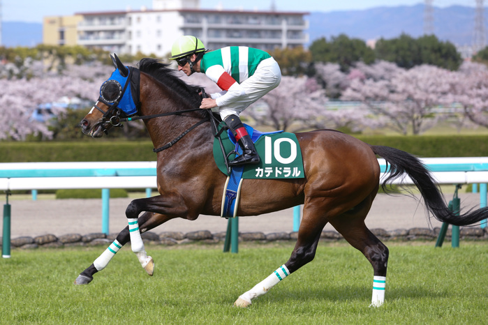 2019 Arlington Cup  G3  Catedral Catedral  Andreasch Starke Andrasch Starke , APRIL 13, 2019   Horse Racing : Catedral ridden by Andrasch Starke before the Arlington Cup at Hanshin  Photo by Eiichi Yamane AFLO 