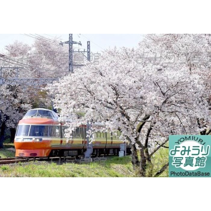 Odakyu and rows of cherry trees in Zama City, Kanagawa Prefecture Odakyu and rows of cherry trees. With Romance Car  Type 7000 . Odakyu Odawara Line Sobudaimae Zama, Zama, Kanagawa Prefecture, Japan  Date taken, April 1, 2018  Time taken, 9:25 a.m.  Lens, 70 200 mm zoom  ISO sensitivity, 400  Aperture, f 7.1  Shutter speed, 1 1600th  March 14, 2019 evening edition  iron Photo   Odakyu and the rows of cherry trees  was published.