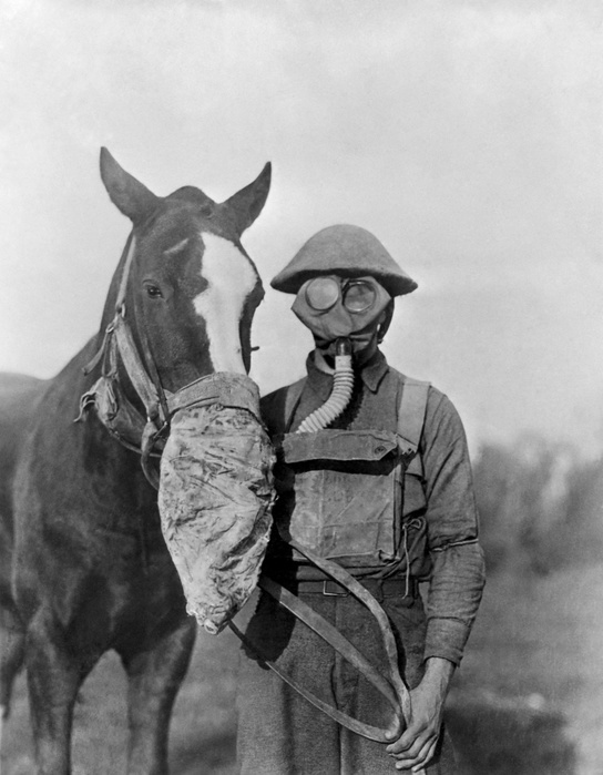 WWI gas masks Gas masks. British soldier and a horse wearing gas masks during the World War I  1914 1918 . The masks included eye protection, and used charcoal in a container to absorbed the gas from the air. Earlier models were just flannel masks soaked in urine or soda. Chemical weapons were first used by Germany on April 22nd, 1915, when chlorine gas was released from cylinders on the western front at Ypres in Belgium.