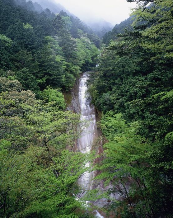 Yukinawa Falls, Ehime Prefecture