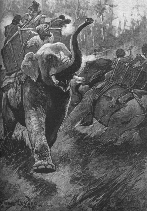 'The Frightened Elephants Rushed Back Crashing Through The Forest', 1895, (1902). The Anglo-Nepalese War or Gurkha War (1814-16), fought between the Kingdom of Nepal and the East India Company. From Battles of the Nineteenth Century, Vol. II. [Cassell and Company, Limited, London, Paris, New York & Melbourne, 1902]