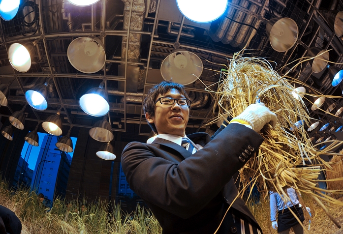 Office worker with a sickle in her hand Rice harvesting in the  rice field  inside the building September 9, 2010, Tokyo, Japan   Office workers in business suits wield sickles to harvest rice on an urban farm in the middle of Tokyo s Employees of Pasona Group, Japan s leading manpower outsourcing firm, took to the rice The 90 square meter indoor paddy field is dependent on a hundred 1000  The 90 square meter indoor paddy field is dependent on a hundred 1000 att lamps that aid photosynthesis, electric fans that help pollination and limited amount of pesticides and chemical fertilizer. Like it or not, the employees will get to sample the fruit of their labor when the harvested rice is served in the staff cafeteria.  Photo by Natsuki Sakai AFLO   3615   mis 