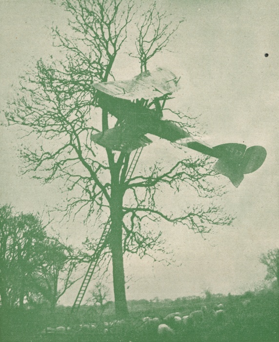 The risks of night flying, c1918 (1919). An aeroplane landed in a tree close to the aerodrome it was aiming for. From The Wonder Book of Aircraft for Boys and Girls, edited by Harry Golding. [Ward. Lock & Co. Limited, London, Melbourne and Toronto, 1919]