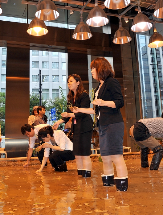 Agricultural Experience in a Business District Rice Planting in an Office Building October 7, 2010, Tokyo, Japan   Sporting rubber boots, office workers plant rice seedlings in the paddy in an office building in the heart of It was the second planting this year on the urban farm the Pasona Group, The 90 square meter indoor paddy field is dependent on a hundred 1000 watt lamps. The 90 square meter indoor paddy field is dependent on a hundred 1000 watt lamps that aid photosynthesis, with electric fans that help the process of pollination and require a limited amount of Upon harvest next year, rice will be served in the staff cafeteria.  Photo by Natsuki Sakai AFLO   3615   mis 