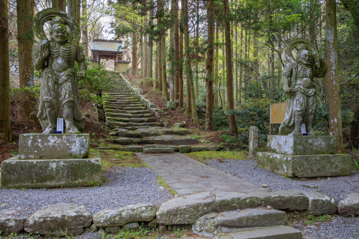Approach to Ryokoji Temple, Niou Statue and Gate, Oita Prefecture
