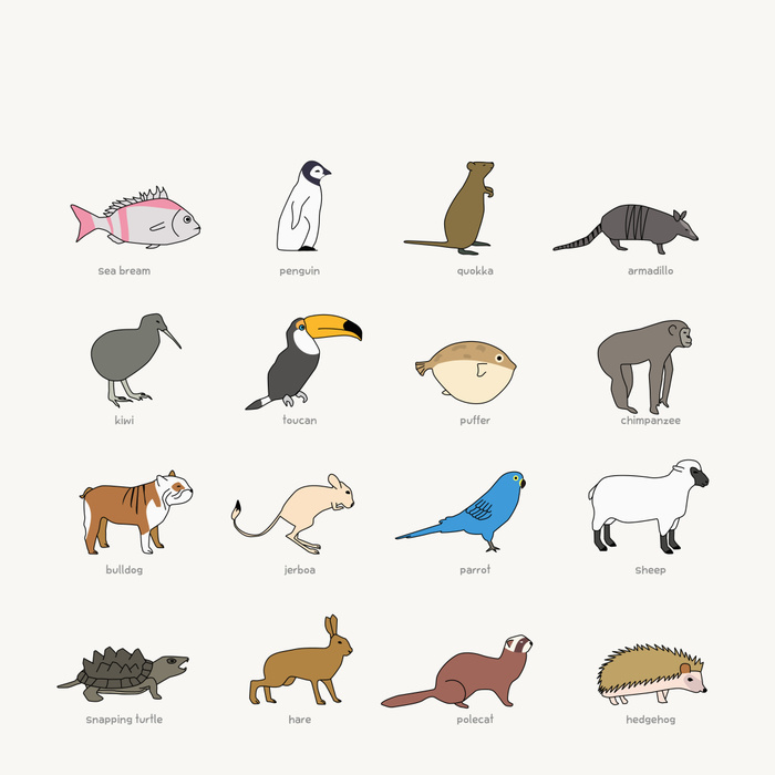 illustration Icons of various animals