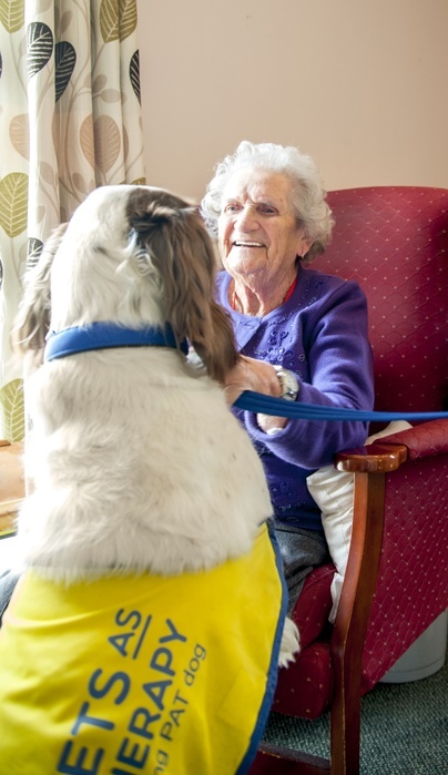 Care home pet therapy Care home pet therapy. 94 year old woman being visited by a Pets as Therapy  PAT  dog in a care home. Photographed in St Leonards on Sea, East Sussex, UK.