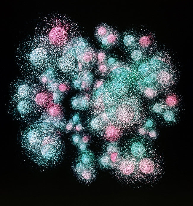 Quark structure of the silicon nucleus. Computer visualisation of the nucleus of a silicon atom. The most common isotope, silicon-28, consists of 14 protons and 14 neutrons. These are represented as triplets of quarks surrounded by quantum clouds of gluons. Protons have two 'up' quarks (green) and one 'down' quark (pink); neutrons have one 'up' and two 'down'. The clouds of virtual gluons are responsible for mediating the strong nuclear force; this holds the quarks together within the particles and also overcomes the electrical repulsion between adjacent protons.