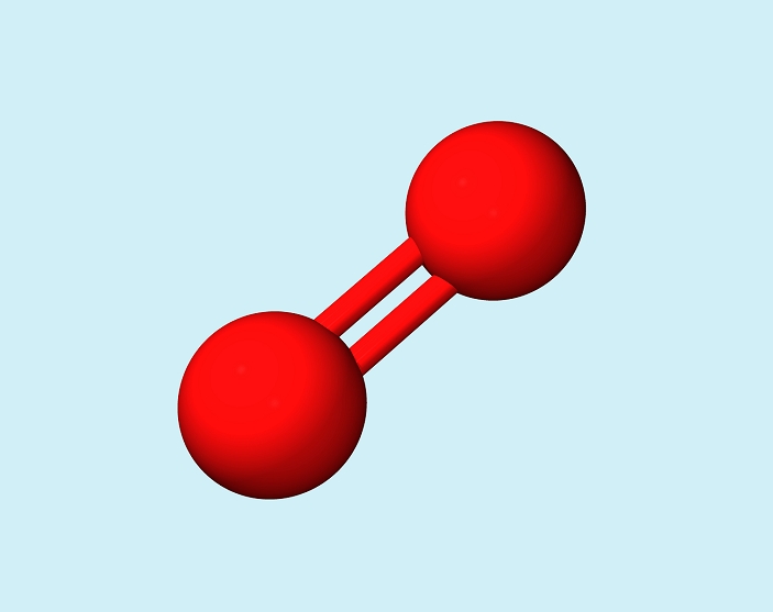 Oxygen molecule. Computer model of a molecule of oxygen (O2). The two atoms are joined by a double bond. Oxygen is a colourless gas at room temperature. It makes up one fifth of the Earth's atmosphere. Oxygen is extremely reactive, forming oxides of most elements. It has an important role in animal and plant respiration and combustion.