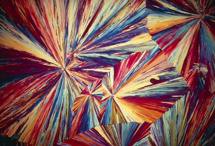 Polarised light micrograph of crystals of citric acid, now known as tricarboxylic acid. Citric acid can be obtained from natural products such as the juices of citric fruits eg. lemons. It is also obtained by fermentation of glucose (citric acid cycle) and by synthesis. Magnification: x7 (35mm size).
