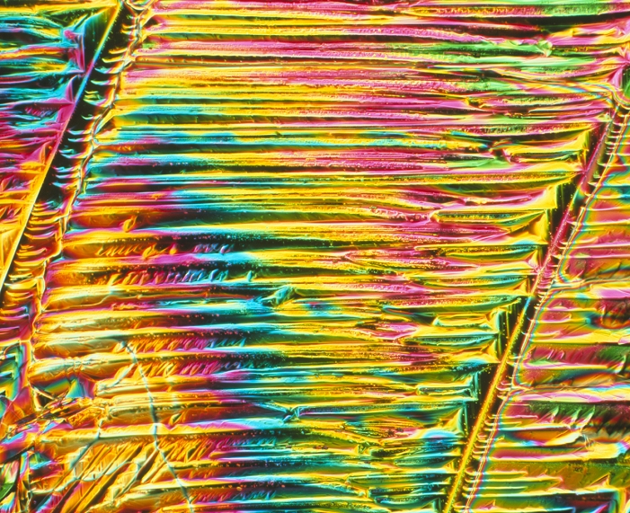 Calcitonin. Polarized light micrograph of crystals of the hormone calcitonin. Calcitonin is produced by the thyroid gland and helps to control the level of calcium in the blood. It slows the rate at which calcium and phosphate are lost from the bones. Insufficient production of calcitonin causes Paget's disease in which bone formation is disrupted and the bones become weakened, thickened and deformed. A synthetic form of calcitonin is used to treat the condition. Magnification: x120 at 6x7cm size.