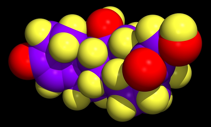 Cortisol molecule. Computer graphic of a molecule of the hormone cortisol (chemical formula: C21.H30.O5). The molecule is shown with the atoms as spheres, and is colour coded: carbon is purple, hydrogen is yellow and oxygen is red. Cortisol is a hormone produced by the adrenal gland which is important in fat, carbohydrate and protein metabolism. It also helps regulate water balance in the body. Medicinally, it is used under the name of hydrocortisone as a local anti- inflammatory agent, usually in the form of a cream or spray.