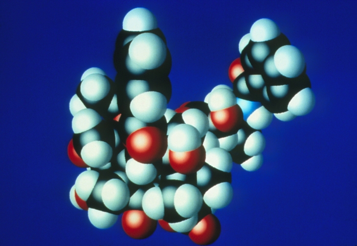 Taxol. Computer graphic of a molecule of taxol, a promising anti-cancer drug. The atoms are colour- coded: carbon (black); hydrogen (white); oxygen (red); nitrogen (blue). Taxol is found in the bark of the Pacific Yew tree (Taxus brevifolia) and has been found effective against some tumours, notably advanced breast and ovarian cancer. T. brevifolia is an endangered species of tree, so availability of taxol in nature is low. In 1994, scientists succeeded in synthesizing taxol in the laboratory. This was only made possible once the molecular structure of taxol was known.