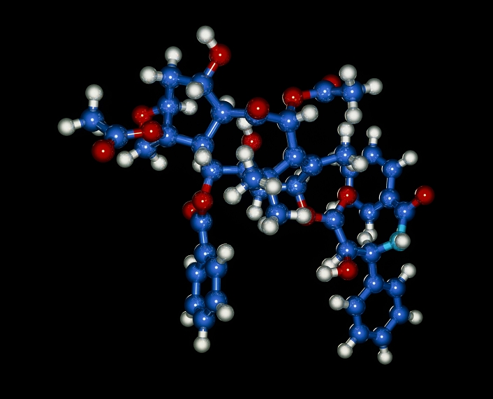 Taxol. Computer graphic of a molecule of taxol, an anti-cancer drug. The atoms and their bonds are colour-coded: carbon (C, dark blue); hydrogen (H, white); oxygen (O, red); nitrogen (N, light blue). Taxol has a chemical formula of C47H51NO14. It is found in the bark of the Pacific Yew tree, Taxus brevifolia, and can also be artificially synthesised. Taxol is particularly effective against advanced breast and ovarian cancer. The drug works by inducing the protein tubulin to form microtubules, important structures involved in cell division (mitosis). The presence of taxol stabilises the microtubules, disrupting mitosis in the rapidly-dividing cancer cells.