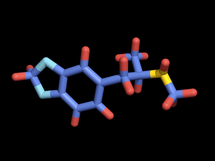 Ecstasy. Computer artwork of a molecule of the drug ecstasy (3,4-methylenedioxymethamphetamine (MDMA, formula: C11.H15.N.O2)). The atoms are shown as cylinders, and are colour-coded: carbon (blue), hydrogen (red), nitrogen (yellow) and oxygen (cyan). Ecstasy drugs produce elation and an easy intoxication. Adverse effects include dehydration and difficulty focusing. Ecstasy is a drug of the 1990's. Studies suggest that prolonged heavy use can cause brain damage, and some deaths have occurred. Many of the deaths occurred because individuals drank too much water over- compensating the dehydration.