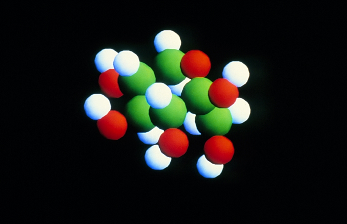 Computer graphics representation of a molecule of glucose (also called dextrose or grape sugar), a white crystalline sugar. Saccharides or sugars are comprised of rings of 4 or 5 carbon atoms (green) and one oxygen atom (red). Attached around the ring are hydroxy (OH) groups. Glucose is a monosaccharide, based on a single ring. Sucrose (ordinary sugar) consists of two rings joined together. Polysaccharides such as starch and cellulose consist of hundreds of glucose rings joined in a chain. Cellulose, the structural material of plants, is one of the most abundant naturally-occurring polymers. The image was modelled using Chemical Design's Chem-X software.