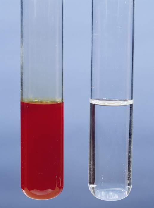 Free radical substitution. Test tubes with a mixture of hexane and bromine before (left) and after (right) being exposed to sunlight. Free radical substitution reactions involve one atom in a molecule being replaced by another, in this case a hydrogen from the hexane with a bromine. The sunlight causes bromine (brown) molecules to split (homolytic fission), forming bromine free radicals. These react with the hexane forming bromohexane (colourless).
