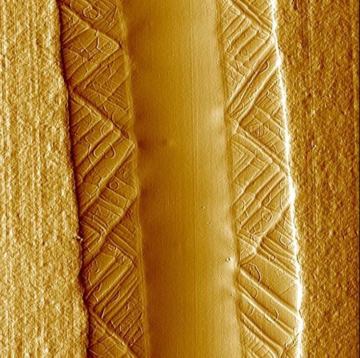 Polymer films. Coloured atomic force micrograph (AFM) of a multi-layer thin polymer film. The outer layers (granulated) are polyethylene, the layers within these are nylon and the inner layer is of unknown composition. The crystalline pattern in the nylon is due to shear banding. Atomic force microscopy produces an image by passing a thin probe across the subject's surface. The probe is spring mounted, and is continuously adjusted to maintain a constant height above the sample. A computer then builds up an image of the surface, which can resolve individual atoms. Deflection image. Magnification: x2200 at 6x6cm size.