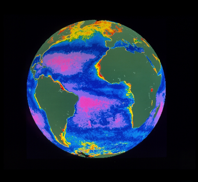 False-colour satellite image of the Atlantic Ocean, showing the density and distribution of phytoplankton in the surface water. The colours represent varying phytoplankton densities from red (most dense) through yellow, green and blue to pink (least dense). Land areas are coloured grey. The highest phytoplankton densities occur in nutrient-rich coastal waters and as a seasonal bloom across the northern Atlantic. The image was produced from data acquired by the Coastal Zone Colour Scanner, one of the instruments on NASA's Nimbus-7 research satellite.