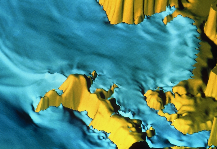 Tsunami simulation. Third of 3 three-dimensional computer simulation images showing a giant sea wave (tsunami) in Cadiz Bay, Spain, 1 hour 40 minutes after its formation during an earthquake in 1755. Water is blue and land is yellow. The tsunami is shown as ripples on the surface of the sea. Tsunamis are about 0.5 metres (m) high in the open sea but may be 15 m tall or more as they approach land. This computer model was designed as part of the international Genesis and Impact of Tsunamis on European Coasts (GITEC) project to assess the effects of a possible tsunami in the near future. (See photo's E275/006 & E275/007).