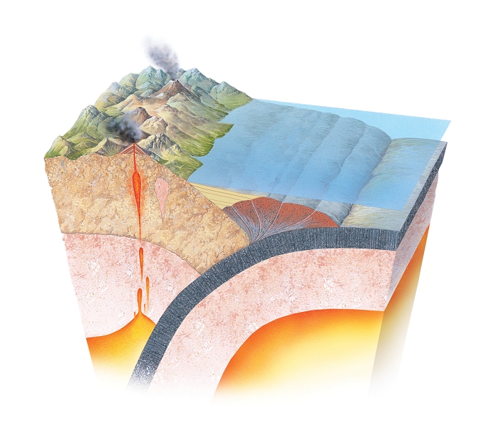 Accretionary prism. Artwork of a cross-section through the Earth's crust showing the formation of an accretionary prism at a subduction zone. A subduction zone occurs in the region where two convergent tectonic plates collide. Tectonic thrusting forces one plate beneath the other down into the mantle (orange) beneath the crust. This causes the formation of a trough or trench along the plate boundary. Sedimentary material is scraped off the subducted plate by the upper plate as they converge. This material accumulates in a prism or wedge shape (centre), filling the trough. The rock in the subducted plate melts as it is forced down and then rises again as magma. This is forced out of volcanoes (left).