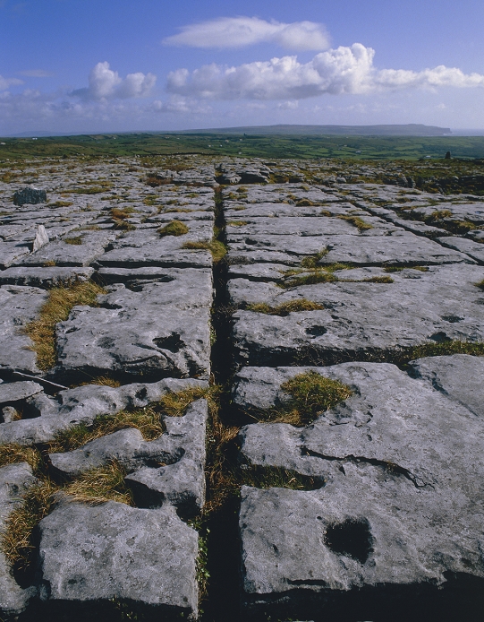 Carboniferous limestone pavement, showing regular jointing consisting of clints (ridges) & grykes (clefts), typical of karst scenery. The joints in the limestone are enlarged due to solution weathering. The photograph was taken near Ballynahowan, County Clare, Ireland.