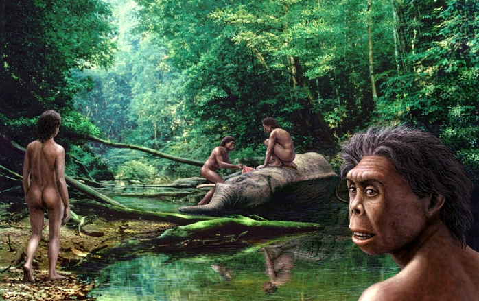 Homo floresiensis. Artist's impression of a group of Homo floresiensis with a freshly killed dwarf elephant (Stegodon sp.). The remains of H. floresiensis were discovered in 2003 at the Liang Bua Cave on the island of Flores, Indonesia. These hominids had an average height of 3 feet. They also had small brains but evidence suggests that they used fire and tools and hunted in groups. Flores was an isolated island that supported a unique range of fauna including dwarf elephants and large monitor lizards that H. floresiensis would have hunted. It is believed that H. floresiensis survived after the arrival of modern humans to the island but later became extinct.