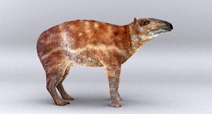 Palaeotherium. Artist's impression of the extinct mammal Palaeotherium. This genus lived during the Eocene and Oligocene epoch between 54 and 23 million years ago. It was closely related to horses and rhinos but most resembled a modern-day tapir.