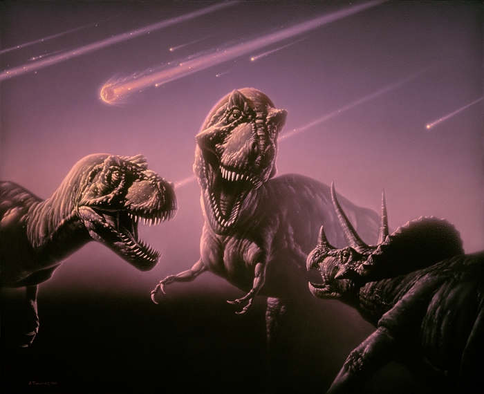 Death of the dinosaurs. Artwork of two Tyrannosaurus rex dinosaurs attacking a Triceratops (lower right), oblivious to the asteroids about to strike the Earth behind them. The impact of a huge asteroid or comet may have caused the extinction of the dinosaurs and 70% of all species on Earth. The impact occurred about 65 million years ago at the end of the Cretaceous geological period. The object, thought to be 10-20 kilometres across, struck the Earth at Chicxulub on the Yucatan peninsula, Mexico. It threw huge amounts of debris into the upper atmosphere, blocking out sunlight and causing global climate changes.