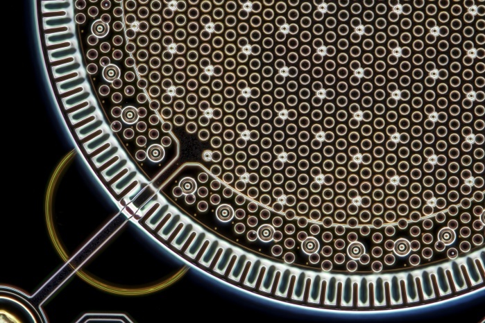 Smartphone MEMS microphone, LM Knowles MEMS  MicroElectroMechanical System  microphone wafer. MEMS microphones are installed in nearly all modern smartphones. The image shows a detailed view of the MEMS wafer. The MEMS is mounted together with the amplifier wafer in a small housing. Microscopic contrast technique: Incident darkfield. Magnification 150x when printed 10 centimetres wide.