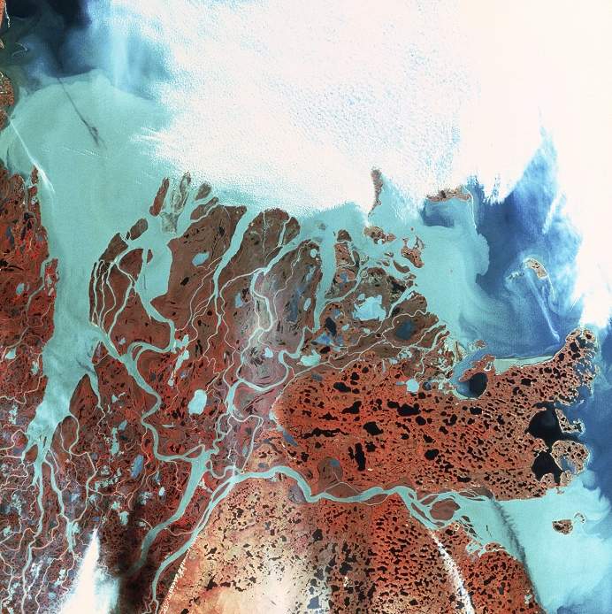Mackenzie Bay, Canada. False-colour satellite image showing Mackenzie Bay in the far north-west of Canada. The Bay is at top left. In the centre is Richards Island, a large delta formed by sediments from the Mackenzie River. Sedimentation is seen as the pale blue areas, the deeper blue of the Beaufort Sea is largely obscured by cloud cover (white). The reddish brown colour of the land represents tundra vegetation. The data for this image were gathered by a Landsat satellite.