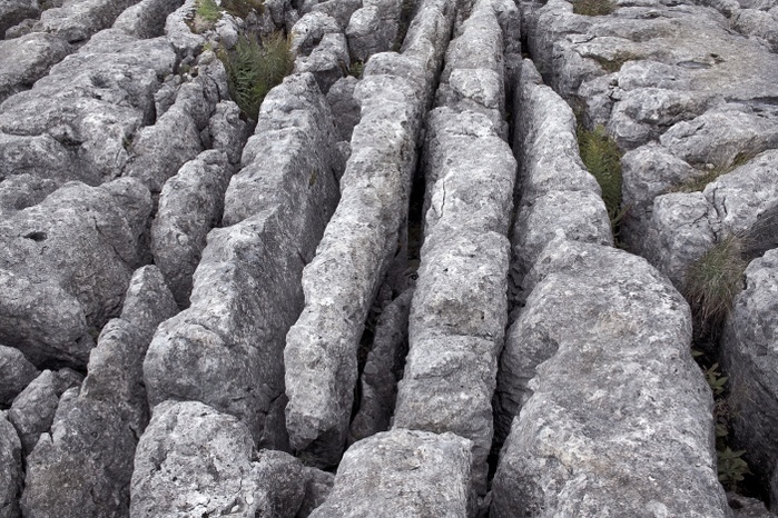 Limestone pavement Limestone pavement. Limestone is a sedimentary rock formed from calcium minerals such as calcium carbonate. This landscape shows the clints and grykes that are a characteristic feature of limestone scenery. The grykes are the deep fissures, caused by the erosion of joints in the limestone, which criss cross the pavement. The clints are the separated blocks of rock that remain. Grykes are often inhabited by shade loving plants. Photographed near Malham in the Yorkshire Dales National Park, UK.