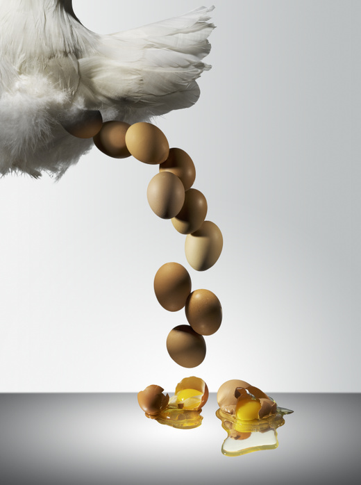 Hen laying fresh eggs, composite image Hen laying fresh eggs onto a hard surface, composite image.