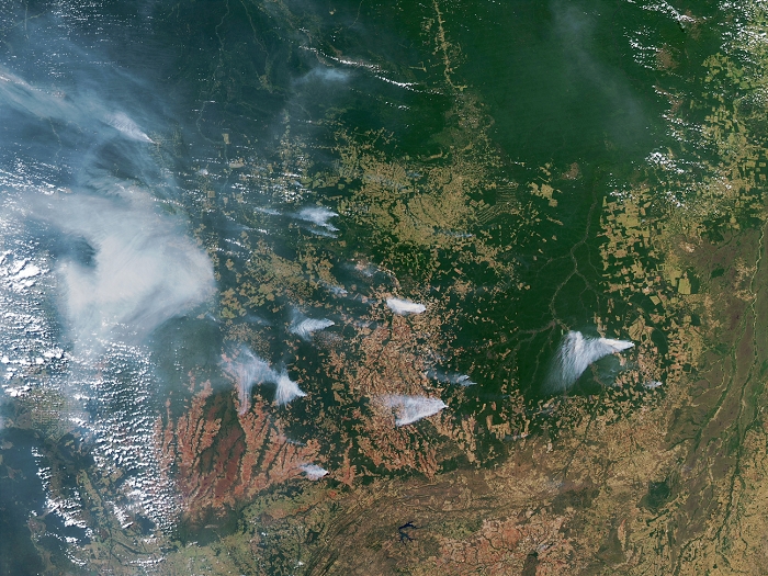 Amazon Basin forest fires from space. Smoke plumes (grey) drifting over Mato Grosso State, on the southern edge of the Amazon rainforest in Brazil. The fires have been set deliberately to clear forest for use as agricultural land. Intact forest is dark green, while cleared land is tan or reddish-brown. Peak burning periods occur during the dry season of June-September. Photographed on 30 June 2003 by the Moderate Resolution Imaging Spectroradiometer (MODIS) on board NASA's TERRA satellite. Such data are used by the Brazilian National Space Research Institute (INPE) to measure the rate of deforestation.