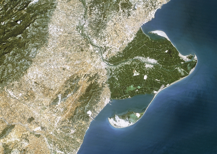Ebro Delta. True-colour satellite image of the Ebro (Ebre) Delta (green, centre right) in eastern Spain. North is at top. Dense vegetation is green, sparse vegetation is brown and bare ground is white. The Mediterranean Sea is at right. This fertile delta, covering an area of 32,000 hectares, is mainly used to grow rice. It is now a National Park. The delta has formed from sediment deposited by the River Ebro (which runs south and then east from upper centre) as it slows upon meeting the sea.