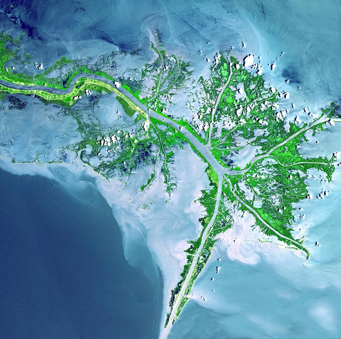 Mississippi Delta. Coloured satellite image of the delta of the Mississippi River, USA. North is at top, the Gulf of Mexico is at lower left. Land is light blue, water is dark blue and sediment is green. A delta is an area of sedimentation (deposition) at the mouth of a river. Deltas are transitory and new channels are constantly forming while others become blocked. The main shipping channel of the Mississippi River runs from upper far left to bottom centre. Image taken on 24 May 2001 by the Advanced Spaceborne Thermal Emission and Reflection (ASTER) radiometer on aboard NASA's Terra satellite.