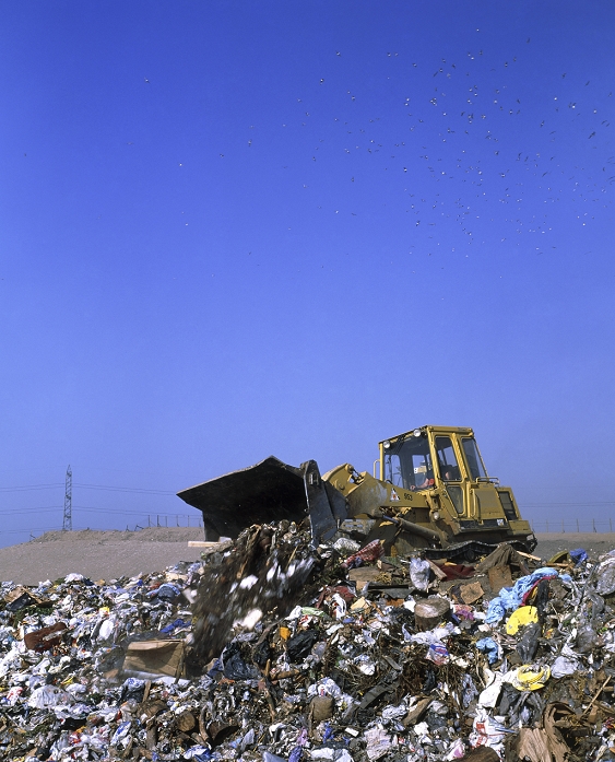 Waste landfill site. A bulldozer levels refuse dumped at a landfill site. Domestic waste is being disposed of here. Landfill sites are used to dispose of about 90% of the world's domestic waste. The type of material dumped must be controlled to prevent chemical toxins leaching into local groundwater. Leaching may also be prevented by lining the site with synthetic materials or impermeable clay. In time the dump may be covered with soil, landscaped, and the land sold to developers. Photographed in England.