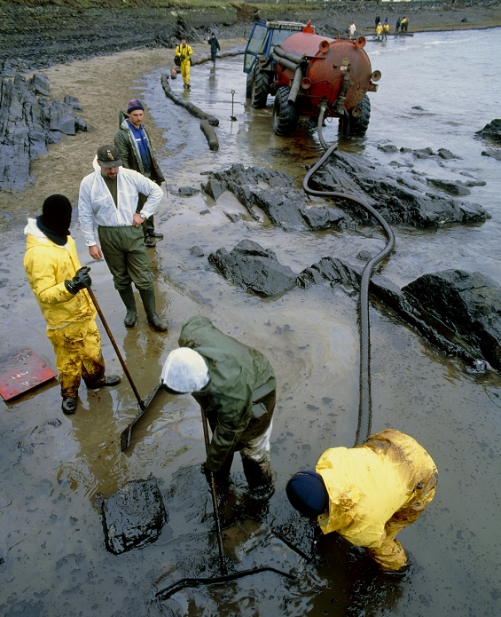. Oil pollution clean-up. Team of workers cleaning up a beach polluted by an oil slick. At lower centre a worker is using a scoop to push oil towards a suction nozzle held by the man in yellow overalls at bottom centre. The nozzle is connected to a tank at top centre. To the left of the tank is a boom designed to stop the floating oil from reaching the shoreline. This slick originated in a spill of about 70,000 tonnes of light crude oil from the oil tanker Sea Empress off the coast of Milford Haven, Wales, in February 1996. Photographed in West Angle Bay, Wales. MODEL RELEASED