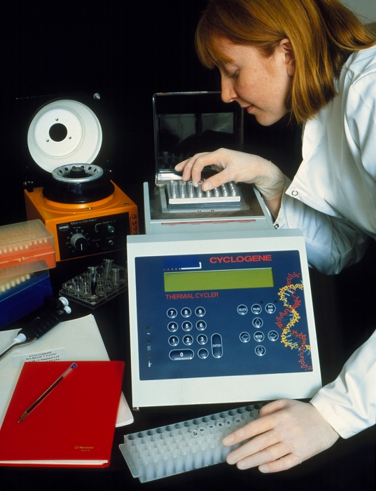 . DNA cloning. Researcher using a heat plate used to make identical copies (clones) of Deoxyribonucleic Acid (DNA) fragments during a Polymerase Chain Reaction (PCR). The technique uses the enzyme DNA polymerase to make single strands of DNA synthesise mirror copies of themselves. By repeatedly raising and lowering the temperature of the mixture, sufficient copies of the original fragment have been produced for analysis. PCR is useful where only a tiny amount of DNA can be isolated. This PCR equipment is being used in a virology department. MODEL RELEASED